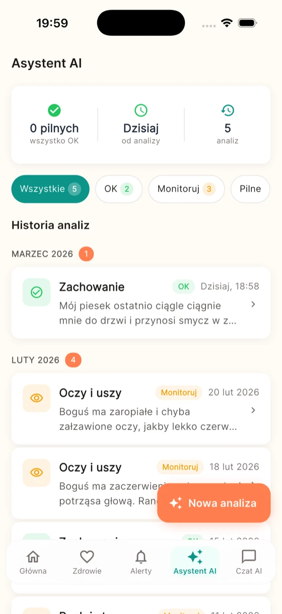 Analiza AI - ekran aplikacji Pupsy