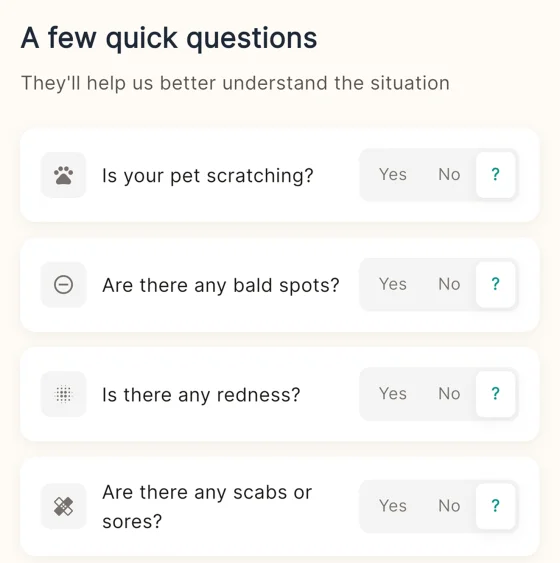 Describe symptoms — app screen